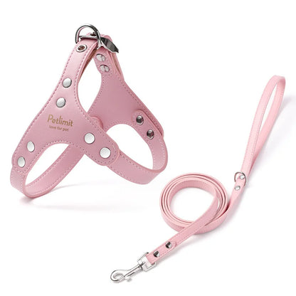 Harnais de luxe pour petit chien en lot de couleur rose. Image produit Boutiquechien