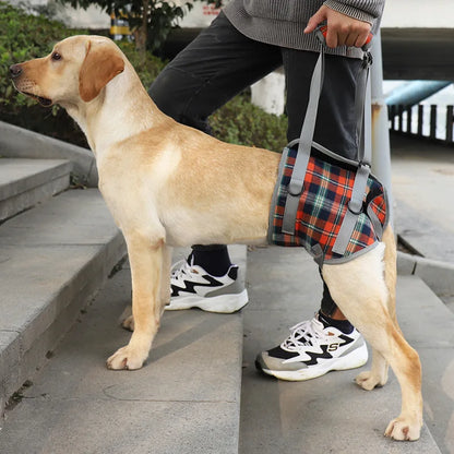 Harnais de maintient pour chien de couleur rouge et gris avec un chien claire. Le chien se fait tenir son train arrière avec un harnais rouge et gris par une poignée. Image produit Boutiquechien