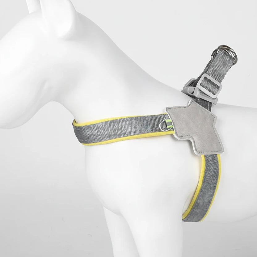 Harnais éducation chiot de couleur gris sur un mannequin