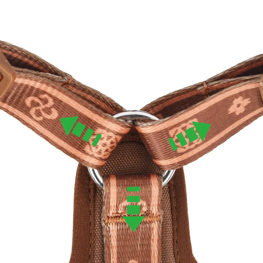 Harnais en forme de y avec un mousqueton 