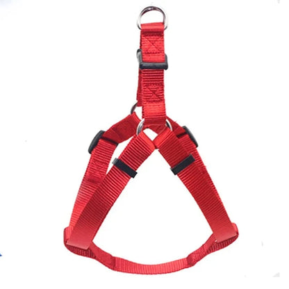 Harnais en y anti-traction rouge