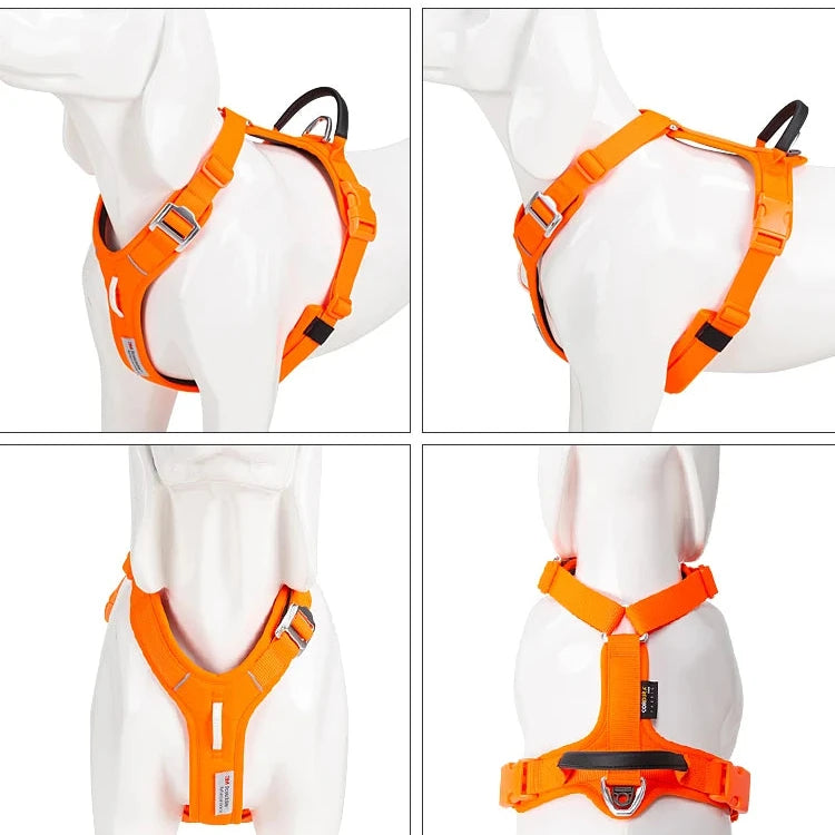 Harnais pour gros chien en y de couleur orange sur un chien mannequin blanc. Image produit Boutiquechien