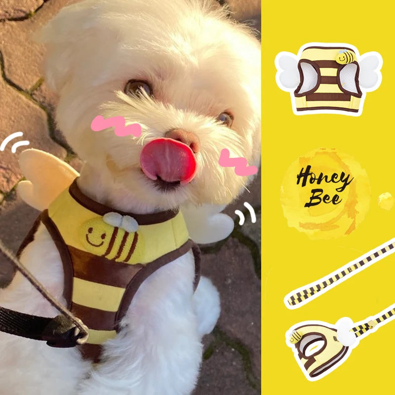 Harnais et laisse abeille pour petit chien jaune. Laisse et harnais de petites tailles pour petit chien 