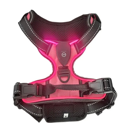 Harnais fluorescent pour gros chien de couleur rose et noir 