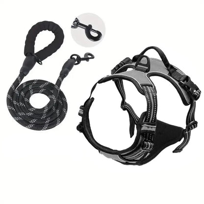 laisse et harnais pour chien de couleur gris  résistant et durable. Image produit Boutiquechien