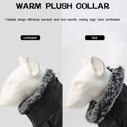 Harnais gros chien hiver fonctionnement