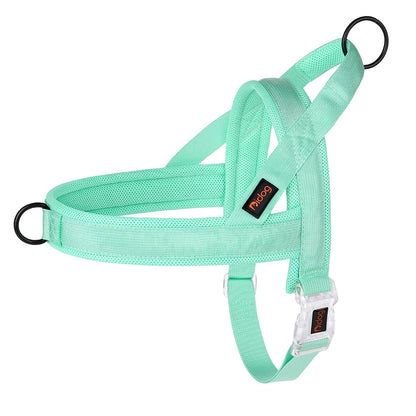 Harnais gros chien pas cher de couleur turquoise anti traction