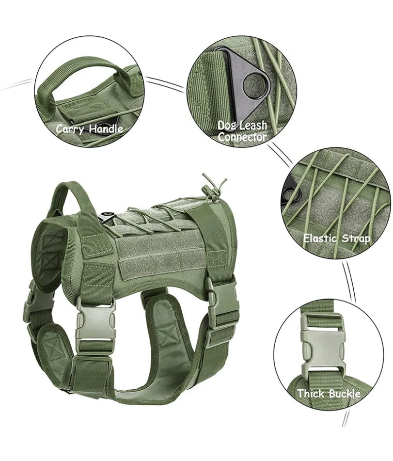 Harnais militaire chien malinois caractéristiques  Image
