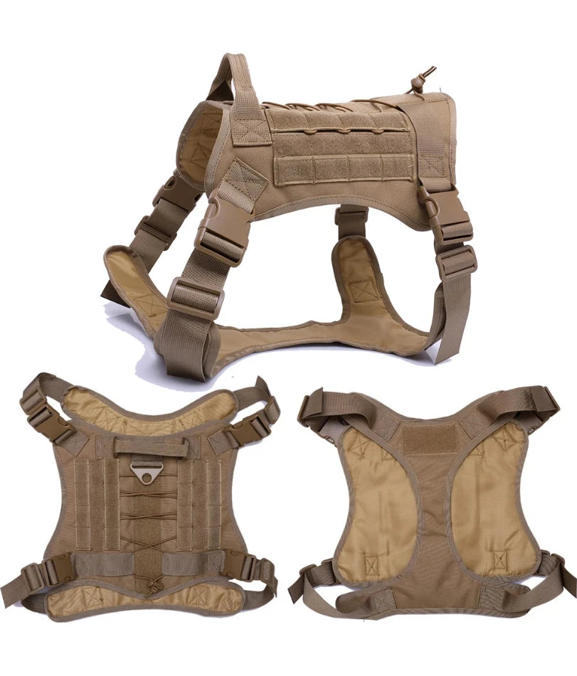 Harnais militaire chien malinois différentes vues Image