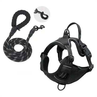 laisse et harnais pour chien de couleur noir avec laisse résistant et durable. Image produit Boutiquechien