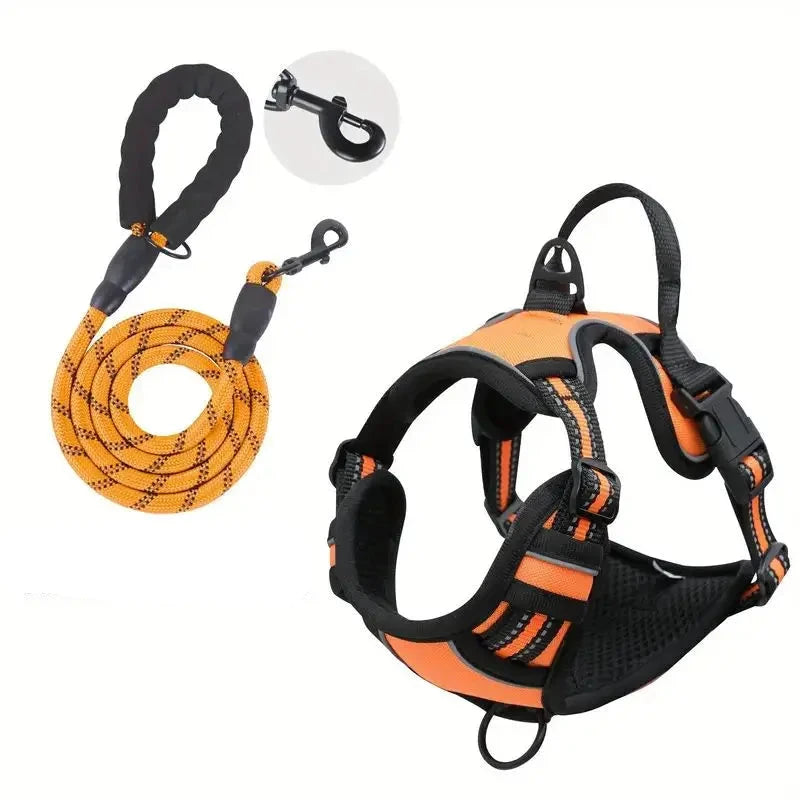 laisse et harnais pour chien de couleur orange avec laisse résistant et durable. Image produit Boutiquechien
