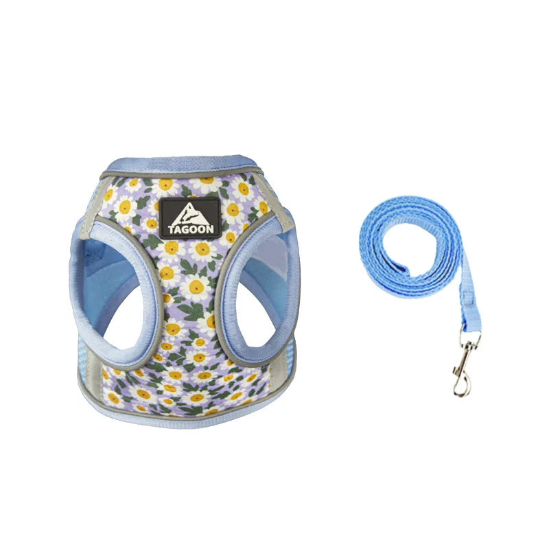 Harnais chiot de couleur bleu à pâquerette. La laisse est avec de même couleur que le harnais petit chien. Image produit Boutiquechien 