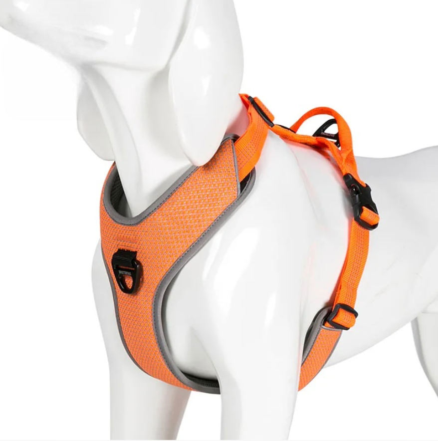 harnais pour petit chien parachute de couleur orange sur un mannequin chien