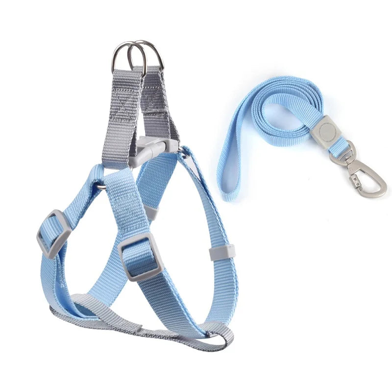 Harnais pour petit chien de couleur bleu et gris avec une laisse assortie pour petit chien. Image produit Boutiquechien 