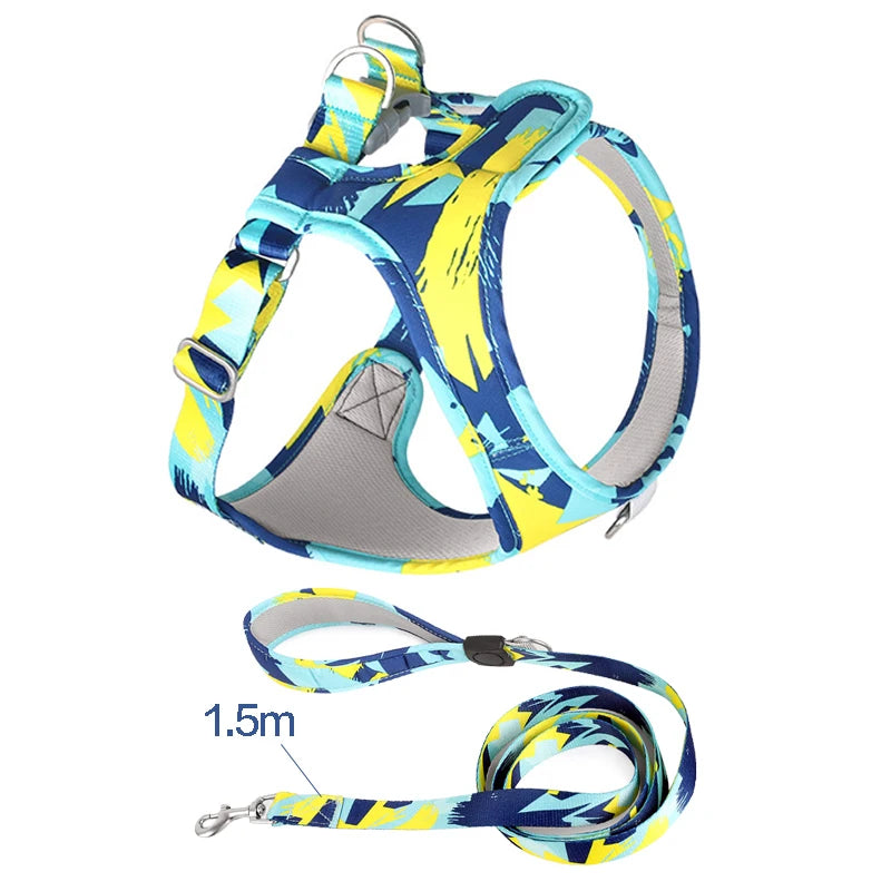 harnais pour petit chiot de couleur bleu pour chien avec laisse assortie. Image produit Boutiquechien