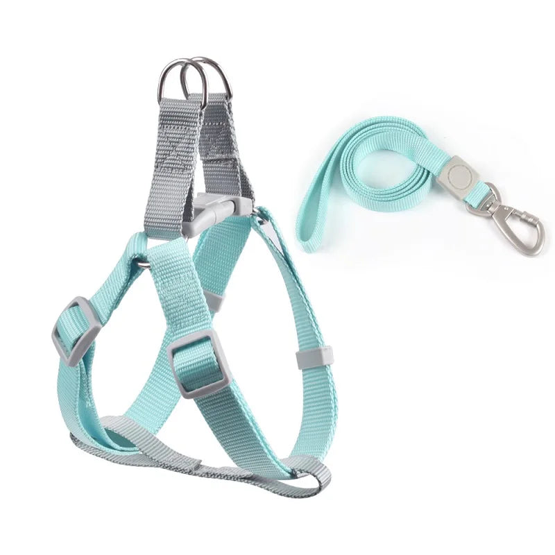 Harnais pour petit chien de couleur turquoise et gris avec une laisse assortie pour petit chien. Image produit Boutiquechien 