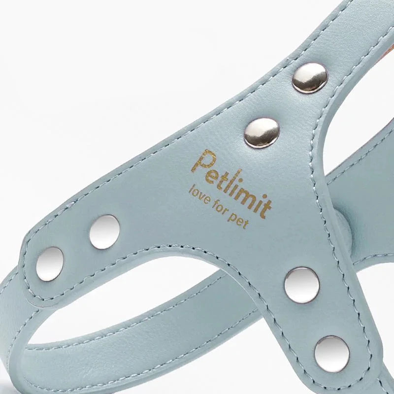 harnais pour petit chien de couleur bleu grise de luxe de boutiquechien