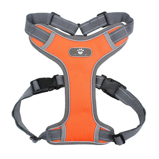 Harnais pour chien de couleur orange et gris. Image produit Boutiquechien 