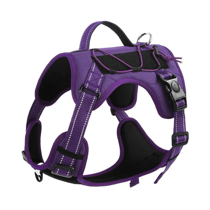 Harnais chien résistant et durable de couleur violet pour tous les chiens. Image produit Boutiquechien