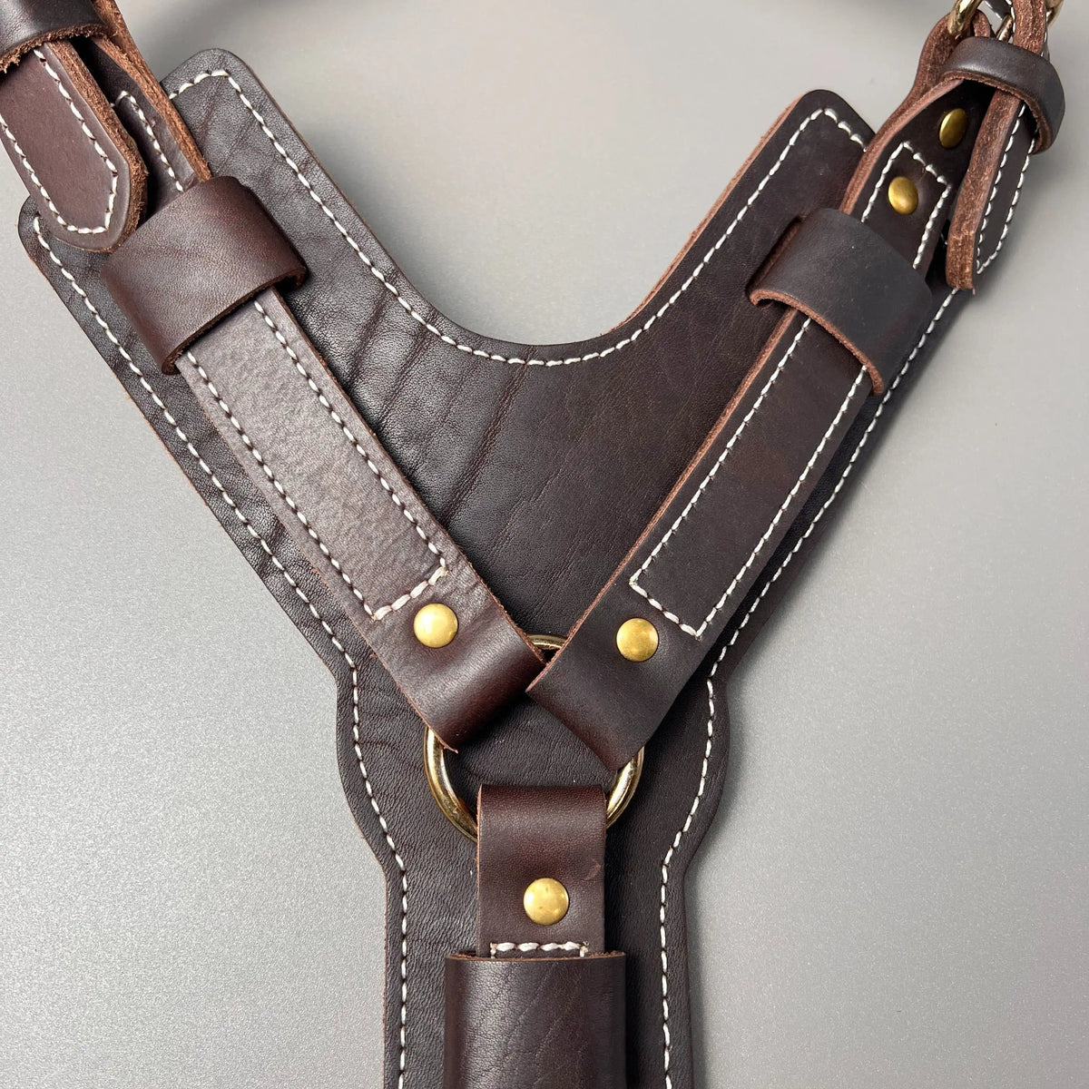 Harnais pour les chiens en cuir foncé de boutiquechien