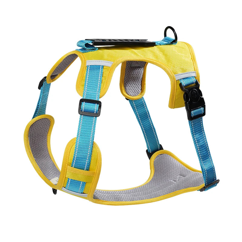 Harnais pour chien husky jaune. et bleu