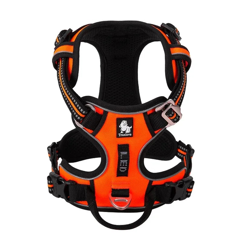 Harnais pour chien staffie