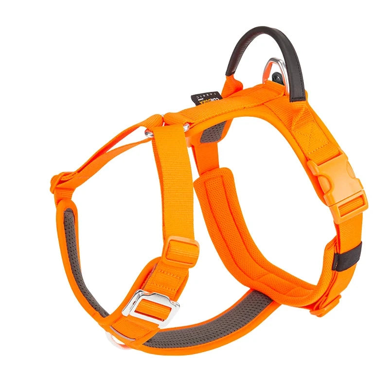 Harnais pour gros chien de couleur orange et noir de boutiquechien