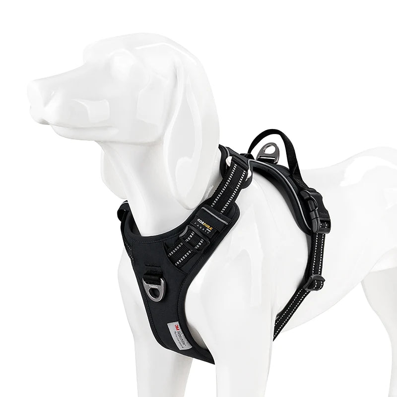 Harnais pour petit chien 2 kg sur un mannequin blanc