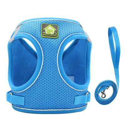 Harnais pour petit chien 4 kg bleu claire 