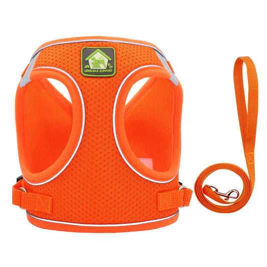 Harnais pour petit chien 4 kg orange 