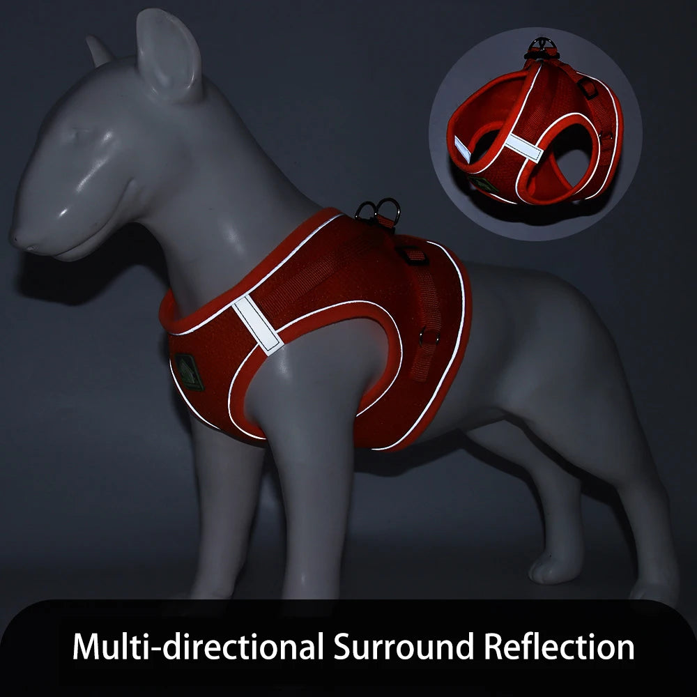 Harnais pour petit chien 4 kg reflechissant 