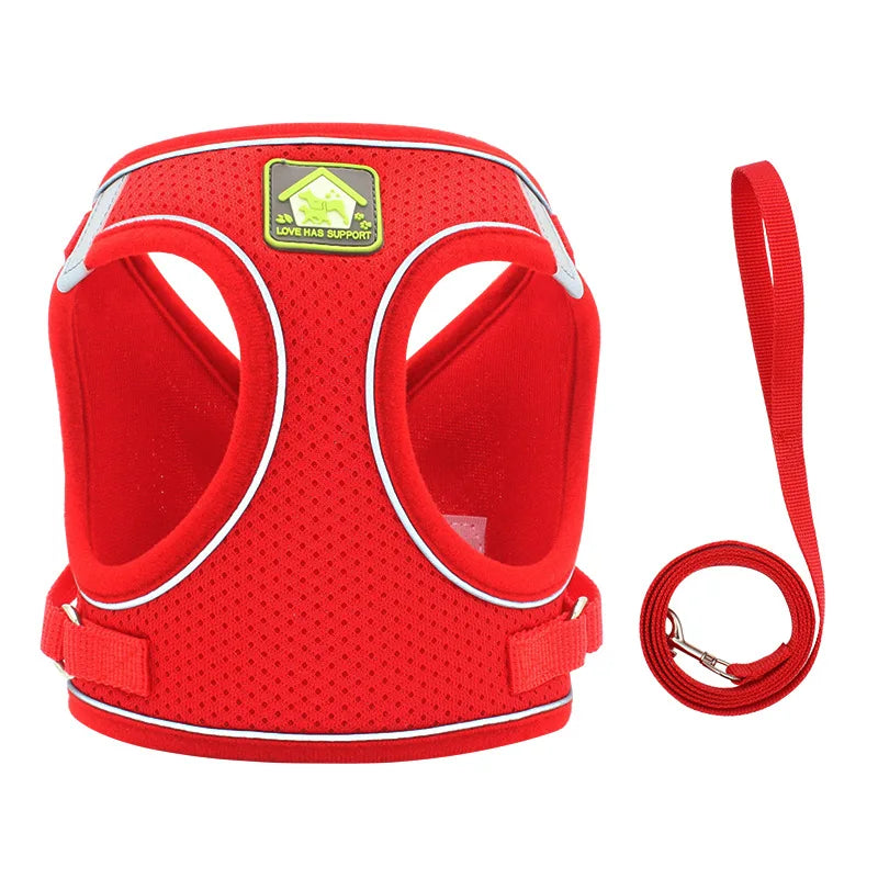 Harnais pour petit chien 4 kg rouge