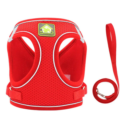 Harnais pour petit chien 4 kg rouge