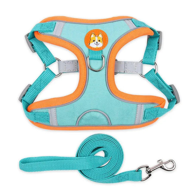 Harnais pour petit chien 5 kg bleu 