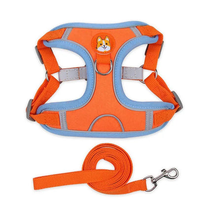 Harnais pour petit chien 5 kg orange 