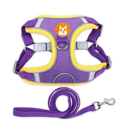 Harnais pour petit chien 5 kg violet 