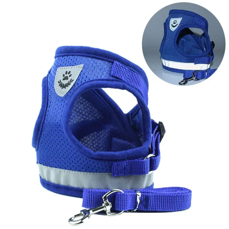 Harnais pour petit chien 6 kg bleu