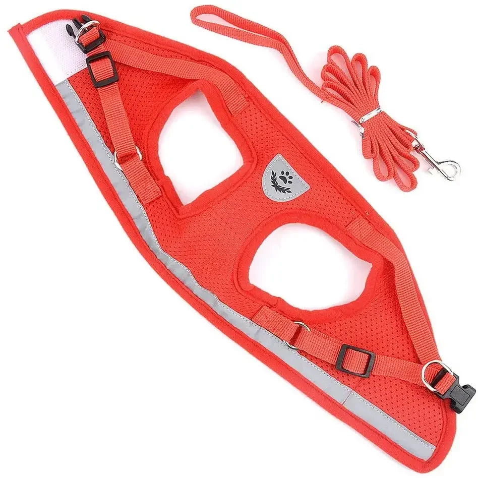 Harnais pour petit chien 6 kg deplie