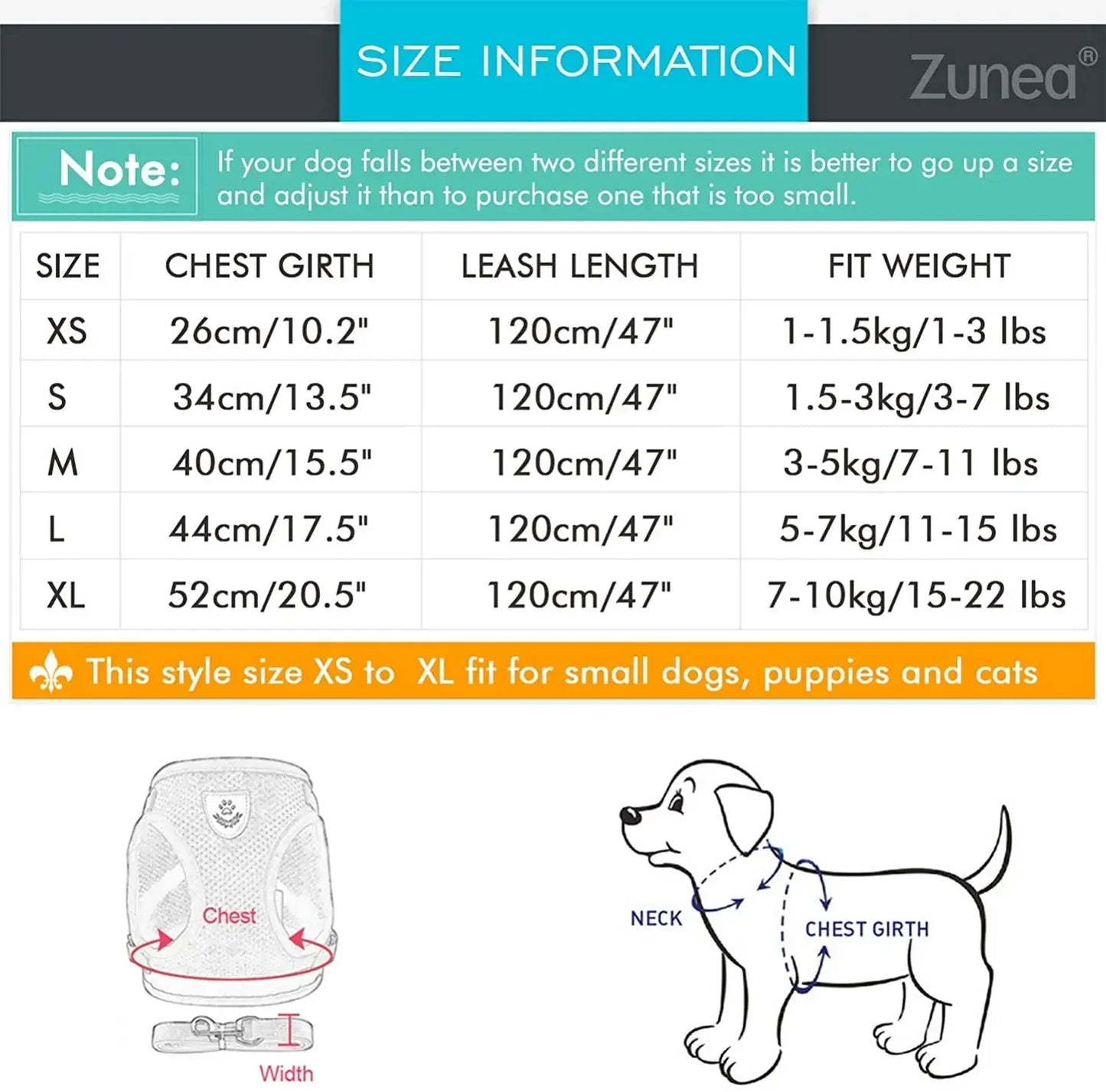 Harnais pour petit chien 6 kg dimensions 