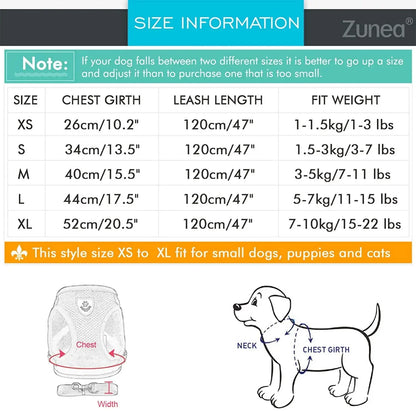 Harnais pour petit chien 6 kg dimensions 