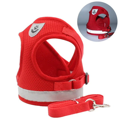 Harnais pour petit chien 6 kg rouge