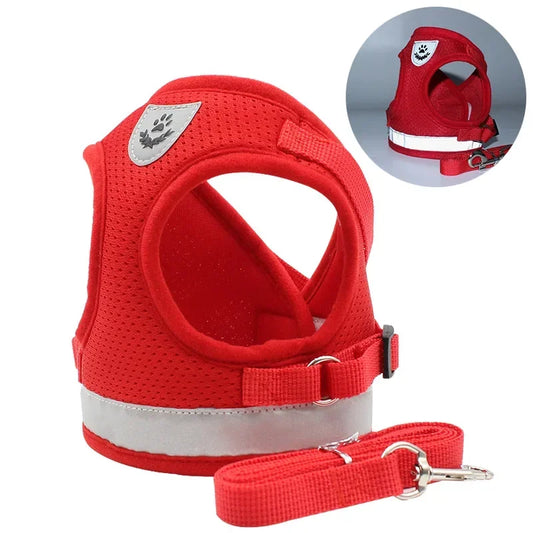 Harnais pour petit chien 6 kg rouge