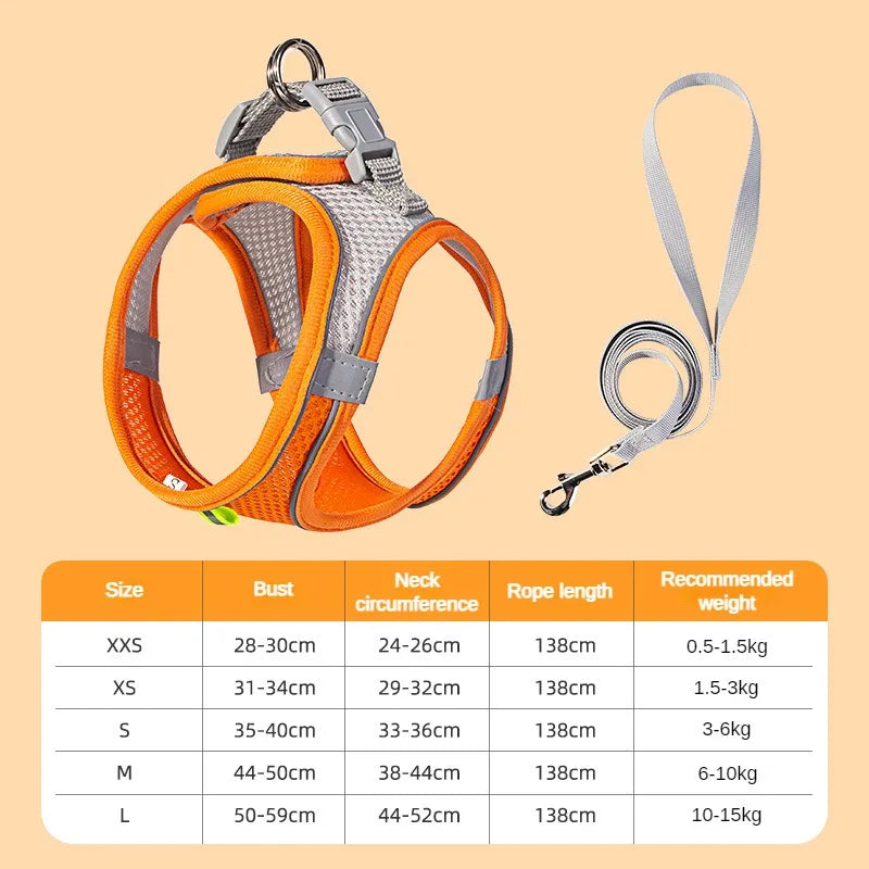 Harnais pour petit chien bichon maltai orange 