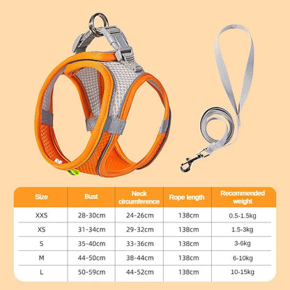 Harnais pour petit chien bichon maltai orange 