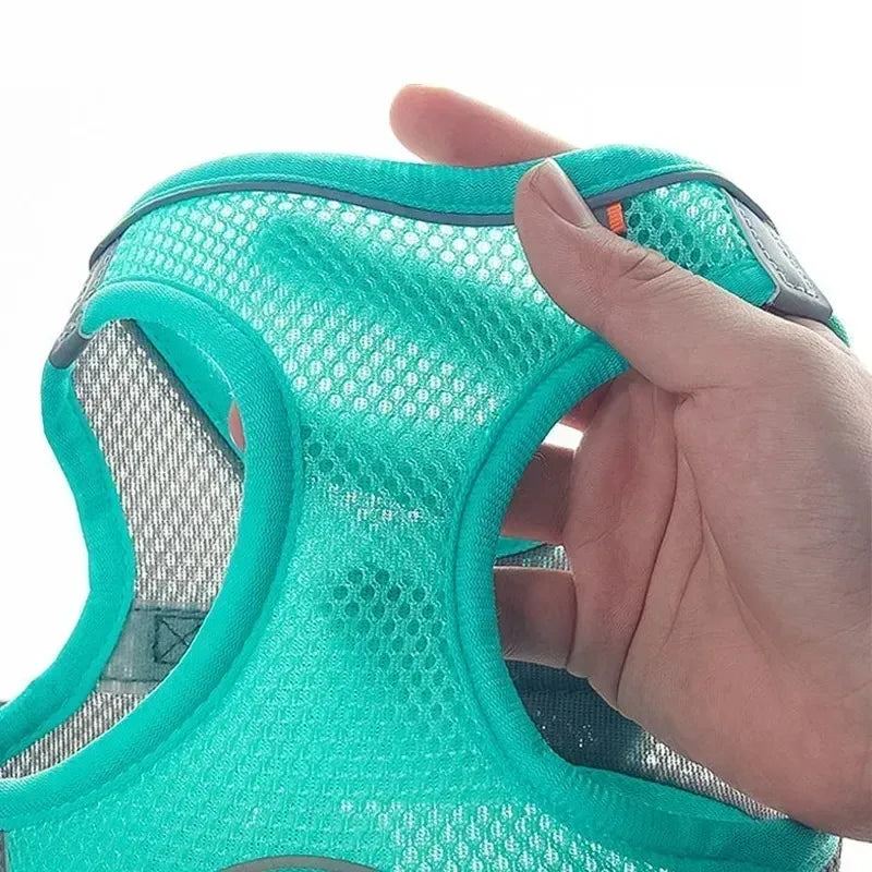 Harnais pour petit chien bichon maltai respirant 