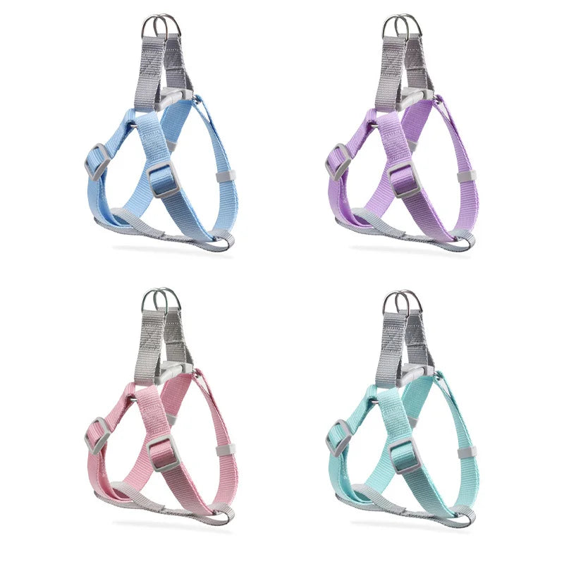 Harnais pour petit chien de couleurs bleu, violet, rose et vert. Image produit Boutiquechien