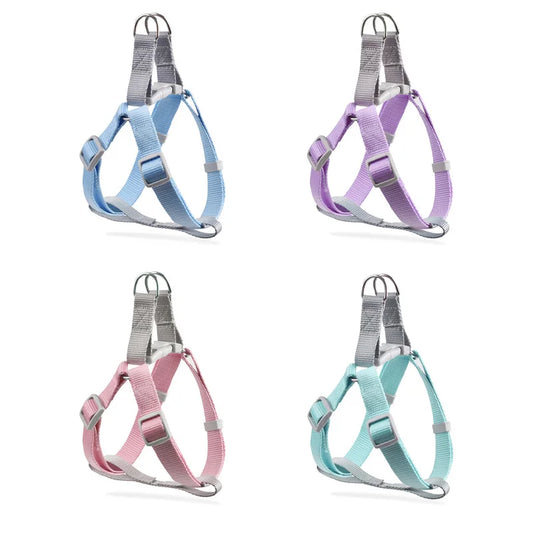 Harnais pour petit chien de couleurs bleu, violet, rose et vert. Image produit Boutiquechien