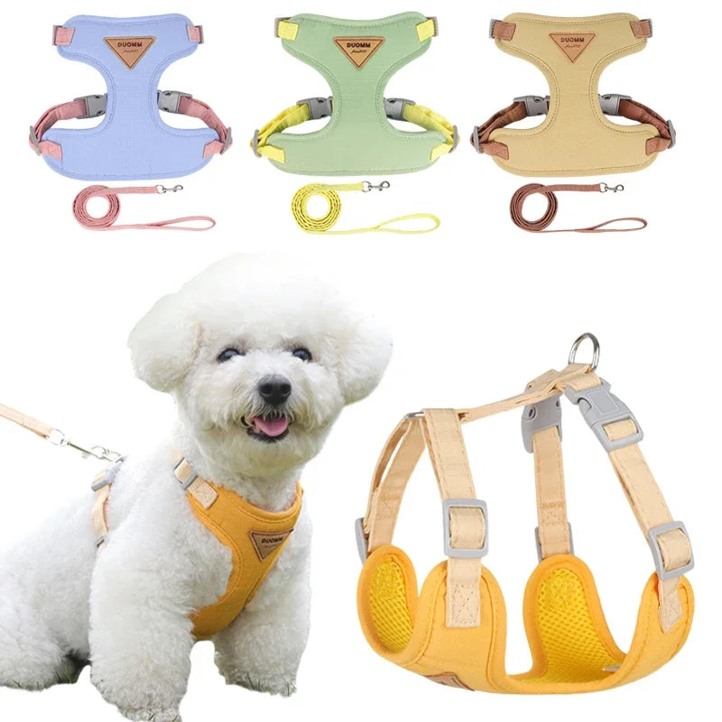 Petit chien blanc portant un harnais de couleur jaune avec autour plusieurs harnais pour chien de petites tailles. Image produit Boutiquechien