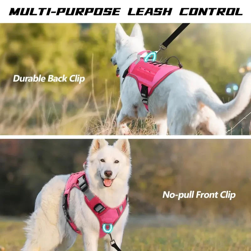 Harnais rose pour chien sur gros chien blanc Image