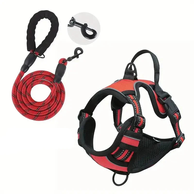 laisse et harnais pour chien de couleur rouge résistant et durable. Image produit Boutiquechien